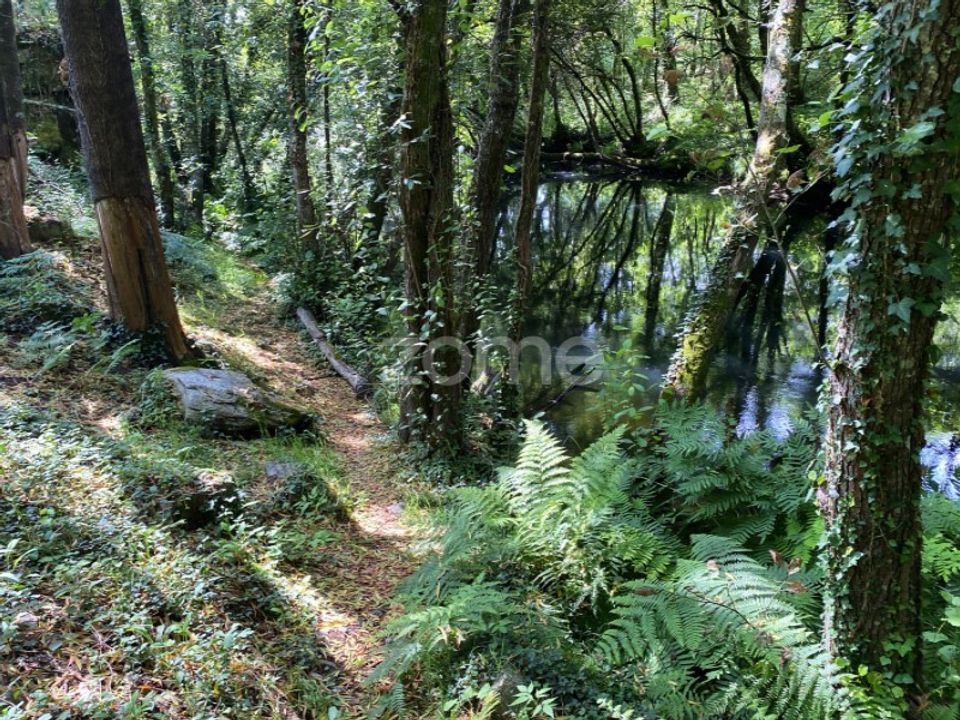Helårsgrund i Esposende, Braga - foto 3