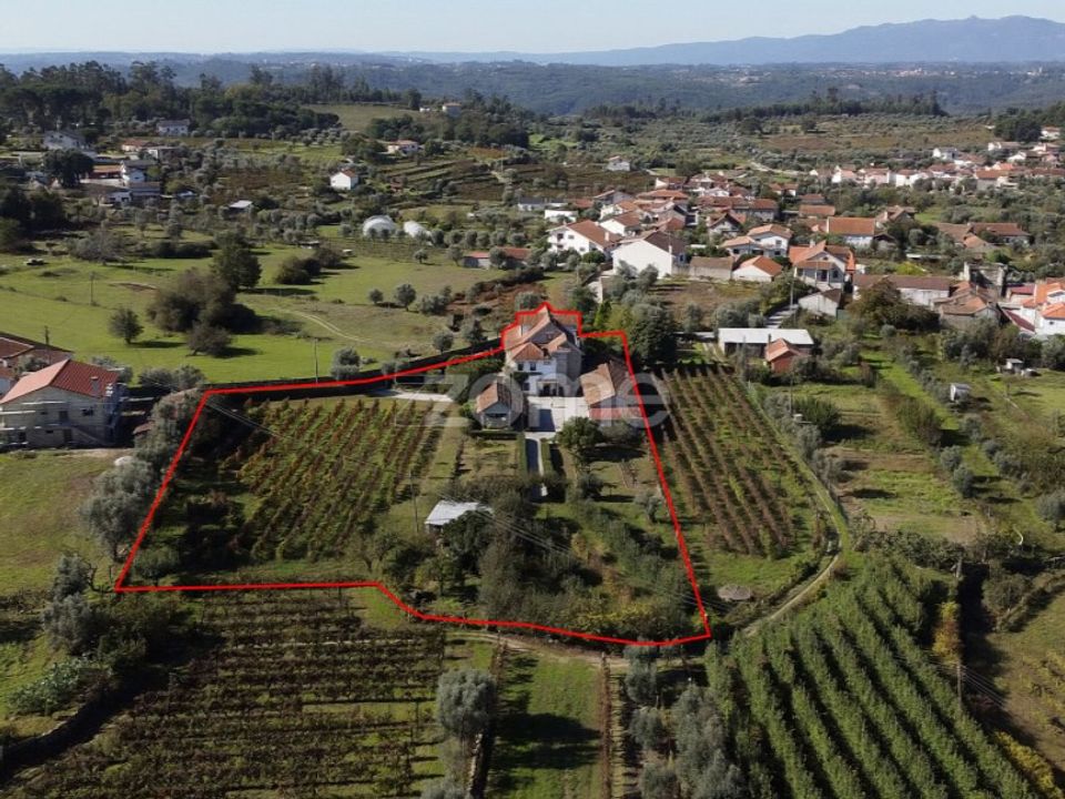 Farm i Viseu, Viseu - foto 3