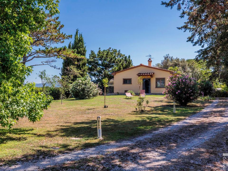 Villa i Castagneto Carducci, Livorno - foto 3