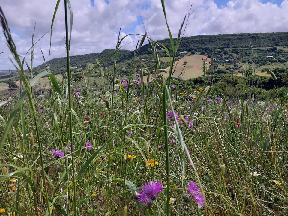 Finca i Vejer De La Frontera, Cadiz - foto 1
