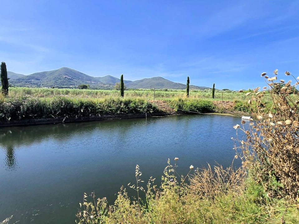 Farm i Scarlino, Grosseto - foto 1