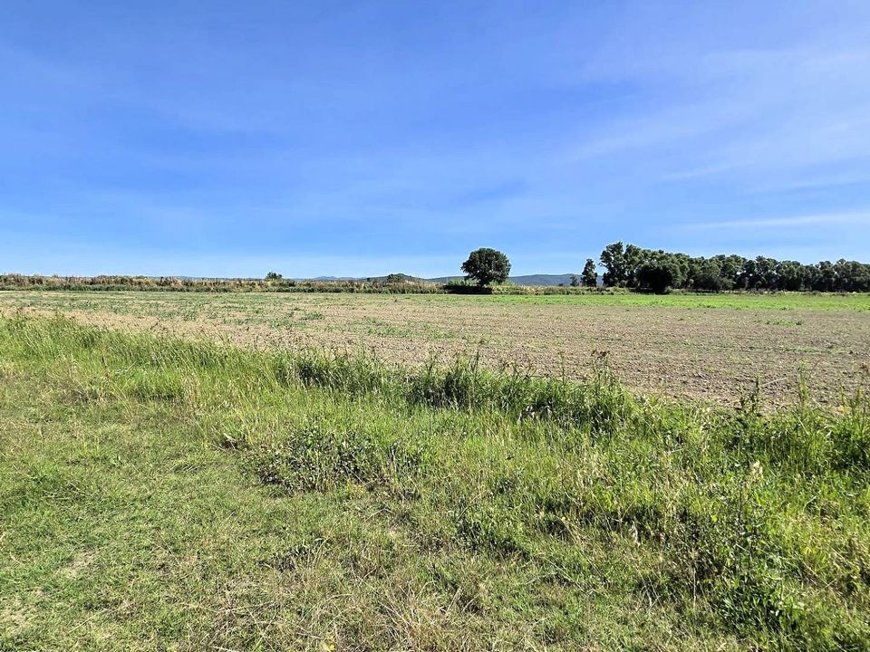 Farm i Scarlino, Grosseto - foto 3
