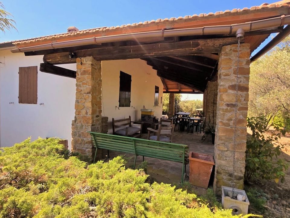 Villa i Scansano, Grosseto - bilde 5