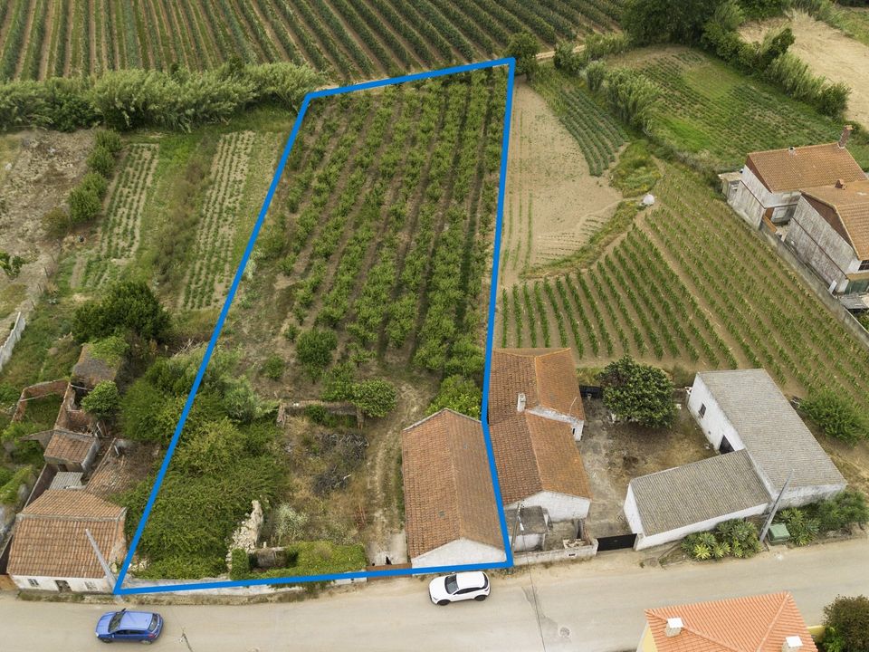 Helårsgrund i Bombarral, Leiria - foto 1
