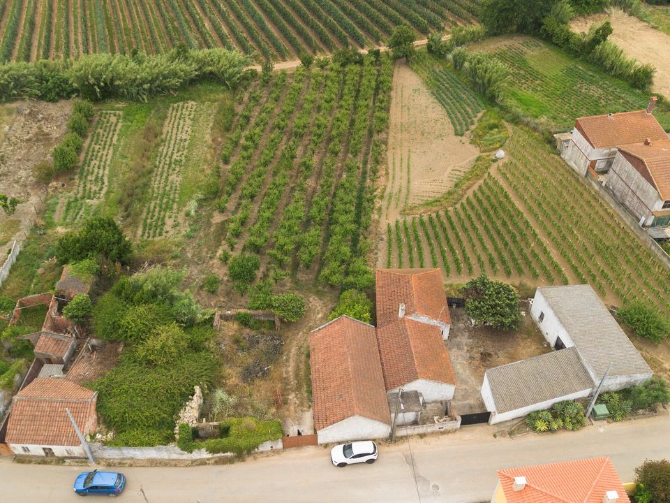 Helårsgrund i Bombarral, Leiria - foto 2