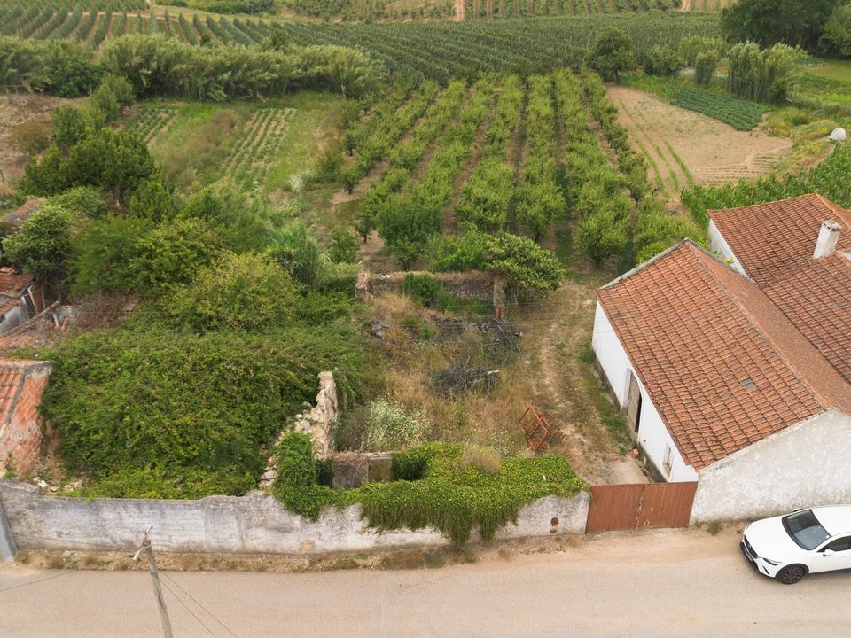 Helårsgrund i Bombarral, Leiria - foto 3