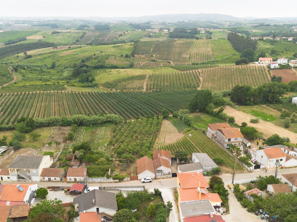 Helårsgrund i Bombarral, Leiria - foto 4