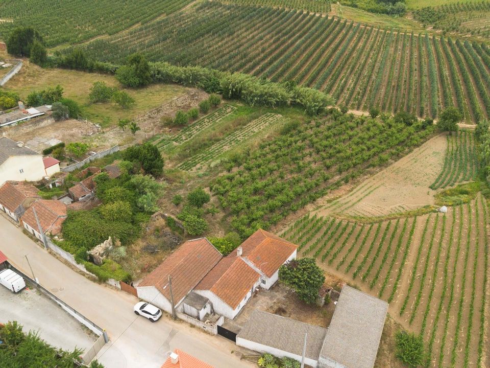 Helårsgrund i Bombarral, Leiria - foto 5
