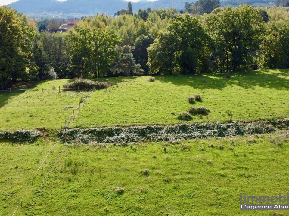 Terra a Taintrux, Vosges - foto 2