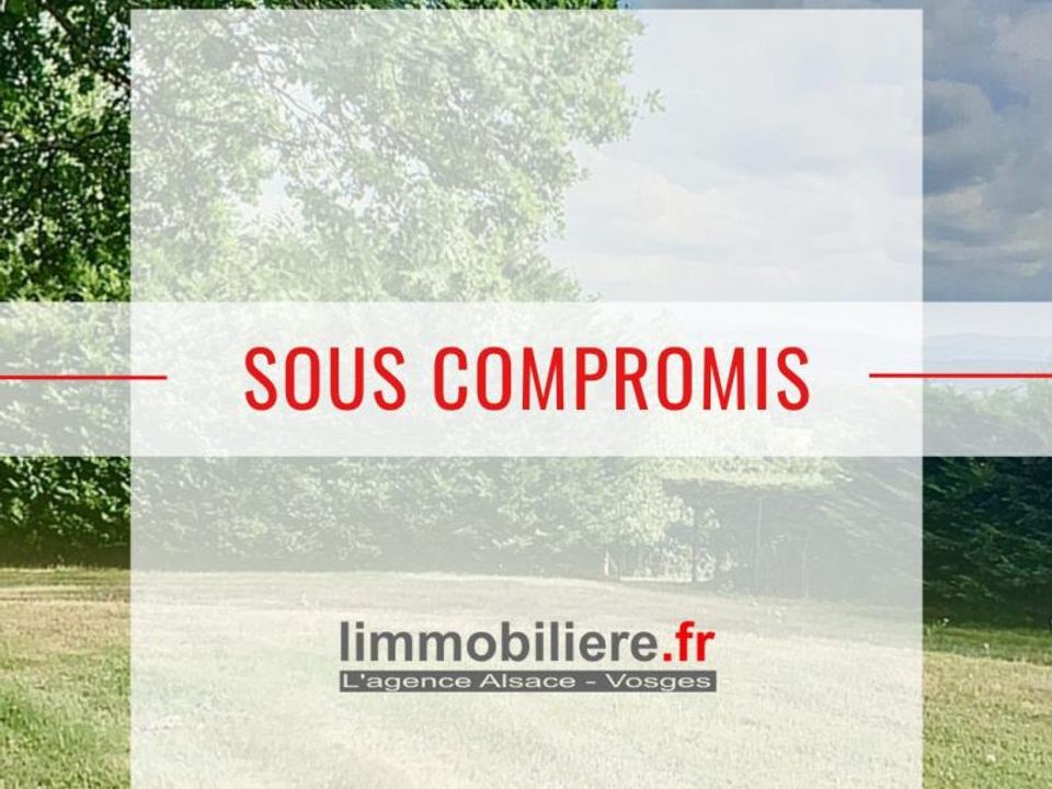 Terra a Nayemont-les-Fosses, Vosges - foto 1