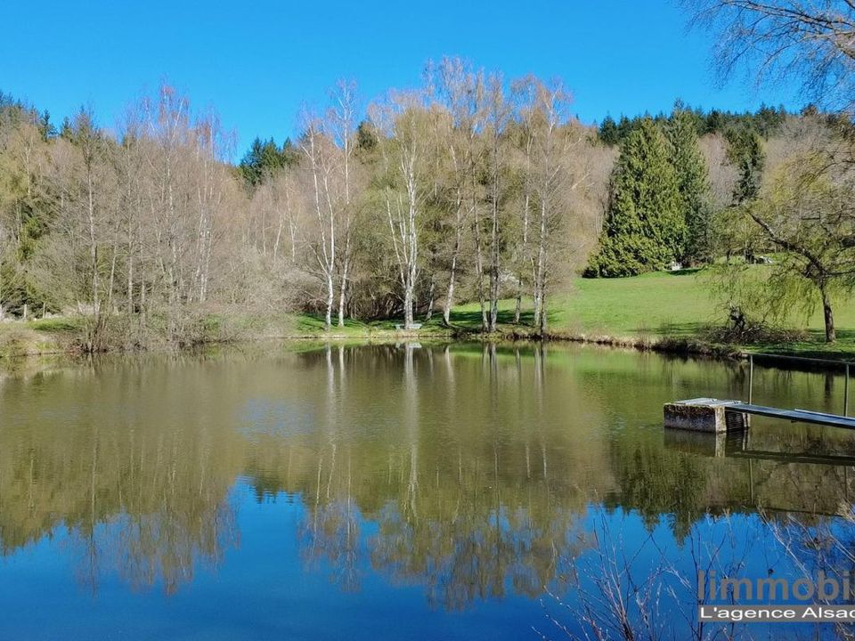 Villa em Coinches, Vosges - foto 4