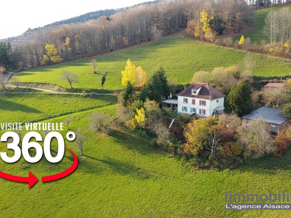 Villa in Sainte-Marie-aux-Mines, Haut-Rhin - foto 1