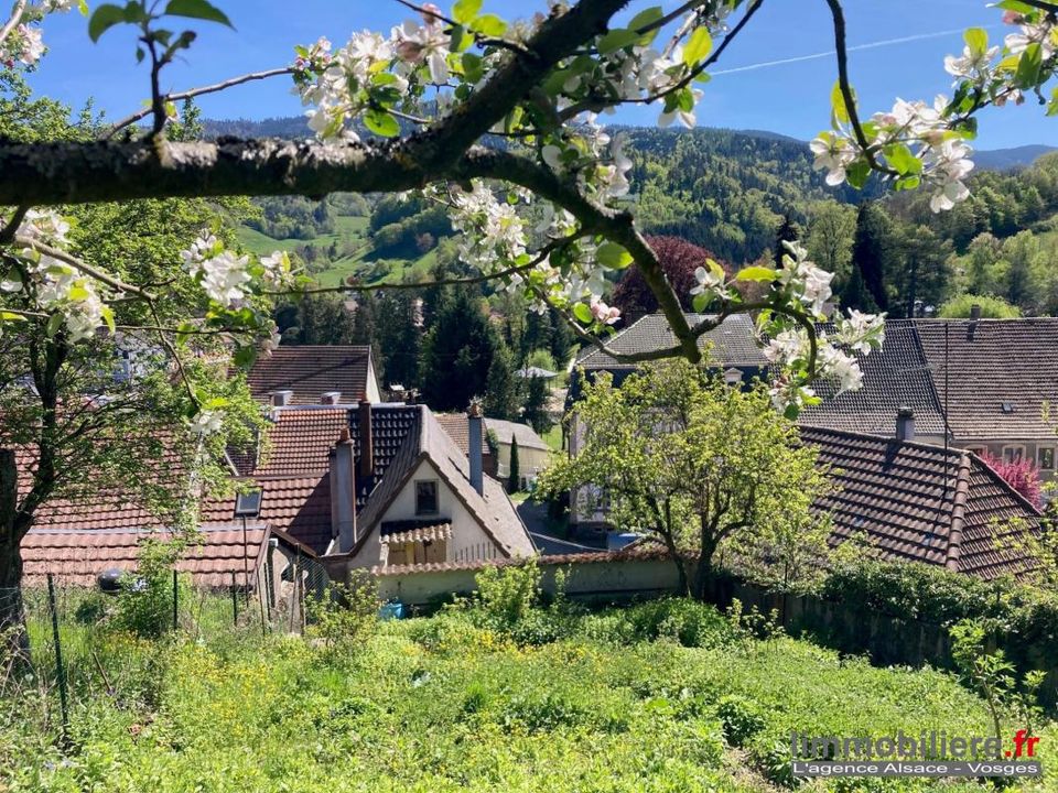 Villa in Sainte-Marie-aux-Mines, Haut-Rhin - foto 5