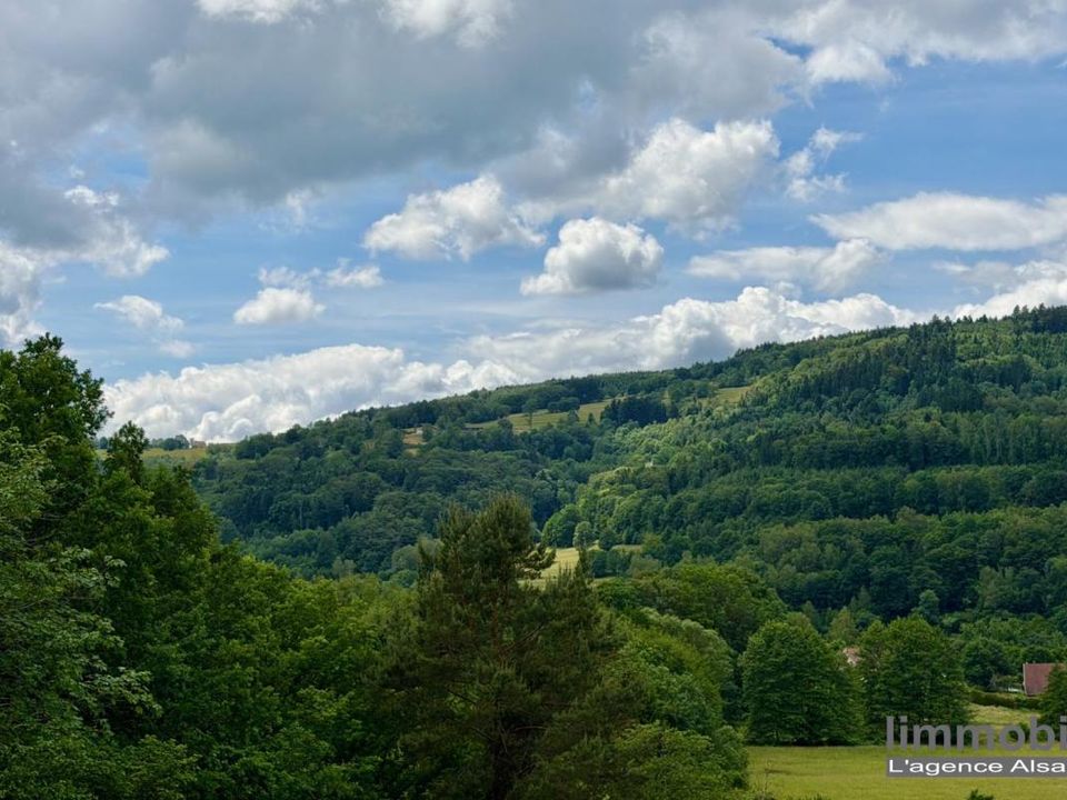 Terra em Ban-de-Laveline, Vosges - foto 1