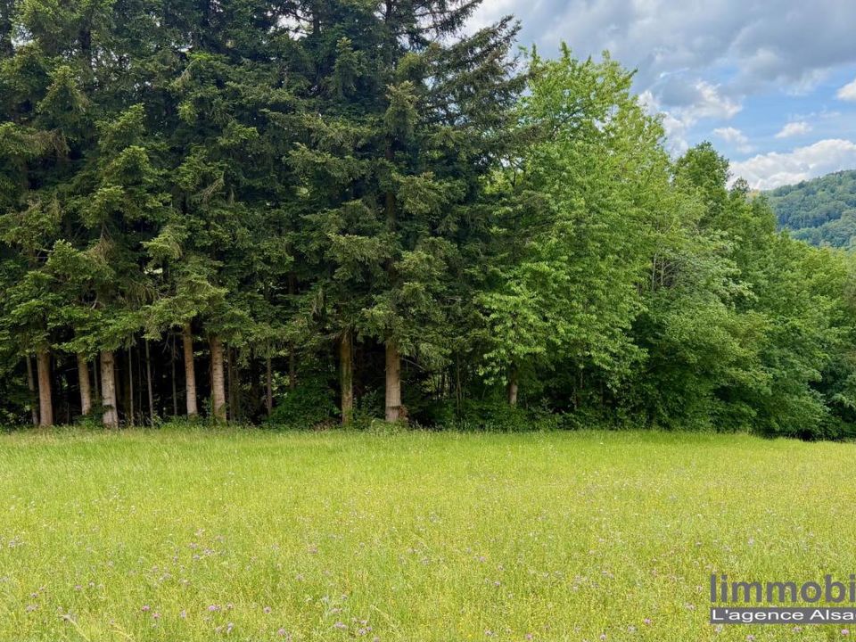 Terra em Ban-de-Laveline, Vosges - foto 2