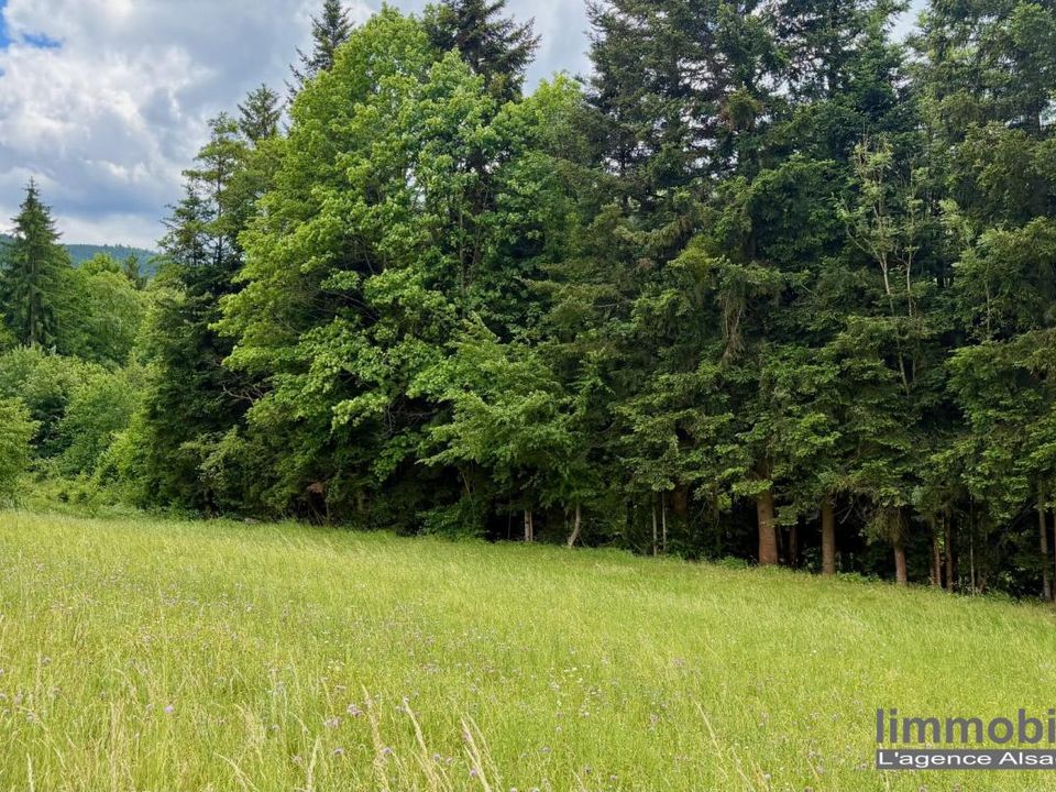 Terra em Ban-de-Laveline, Vosges - foto 3