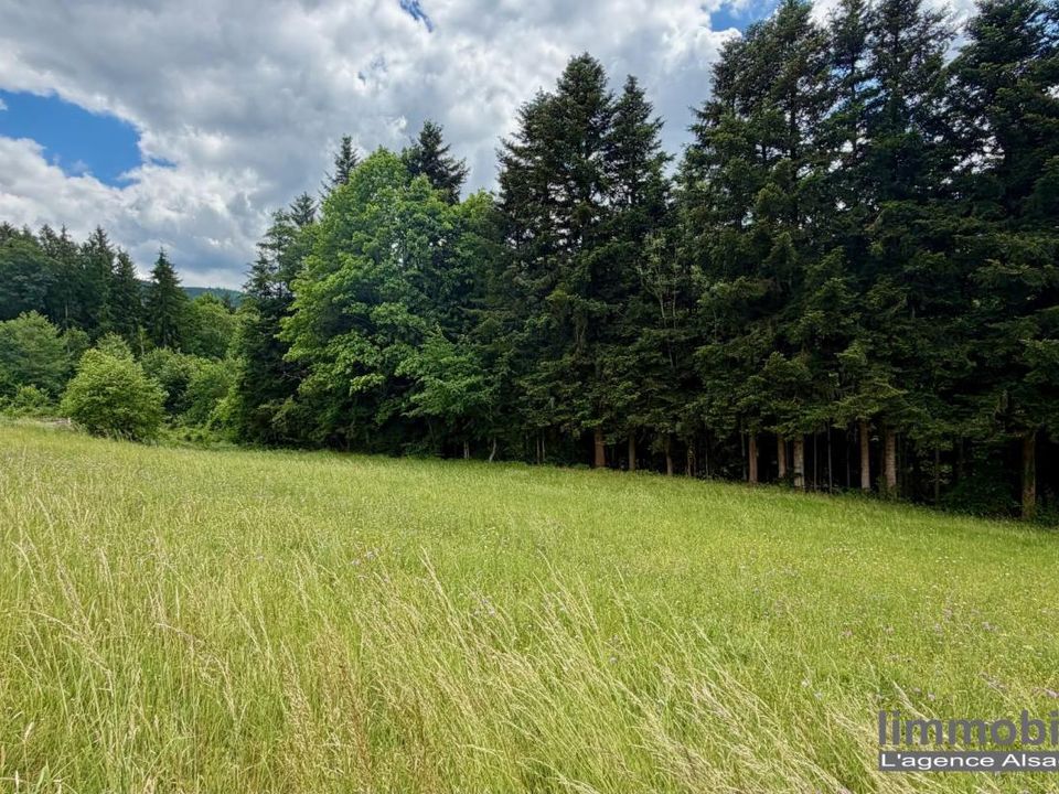 Terra em Ban-de-Laveline, Vosges - foto 4