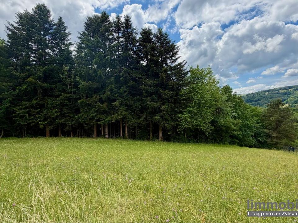 Terra em Ban-de-Laveline, Vosges - foto 5