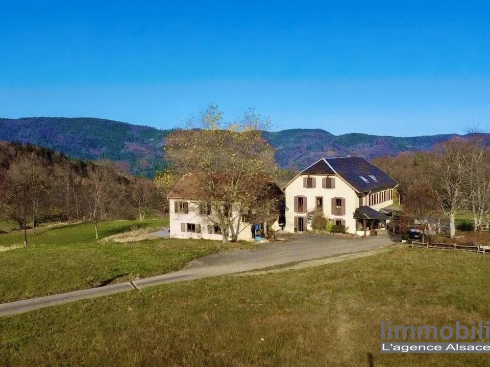Villa in Sainte-Marie-aux-Mines, Haut-Rhin - foto 2