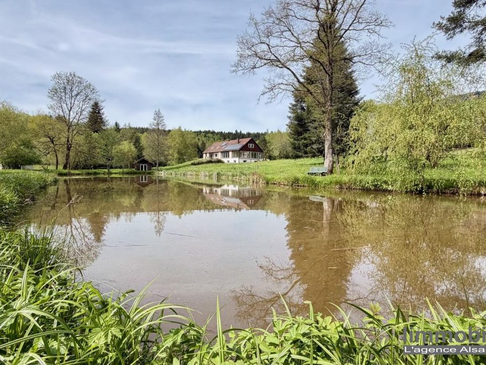Villa a Nayemont-les-Fosses, Vosges - foto 3
