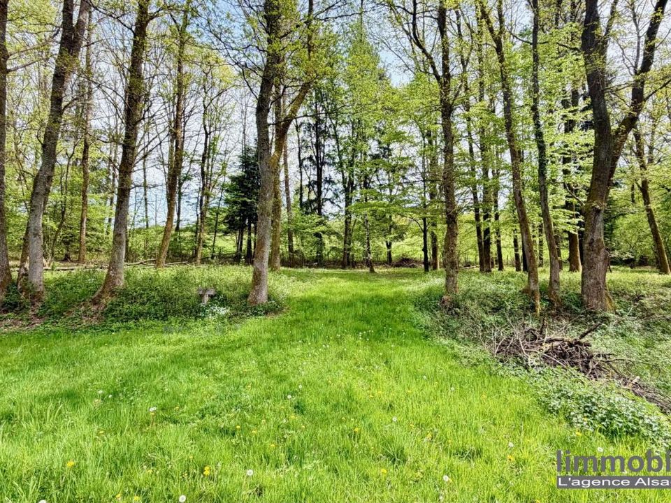 Villa a Nayemont-les-Fosses, Vosges - foto 4