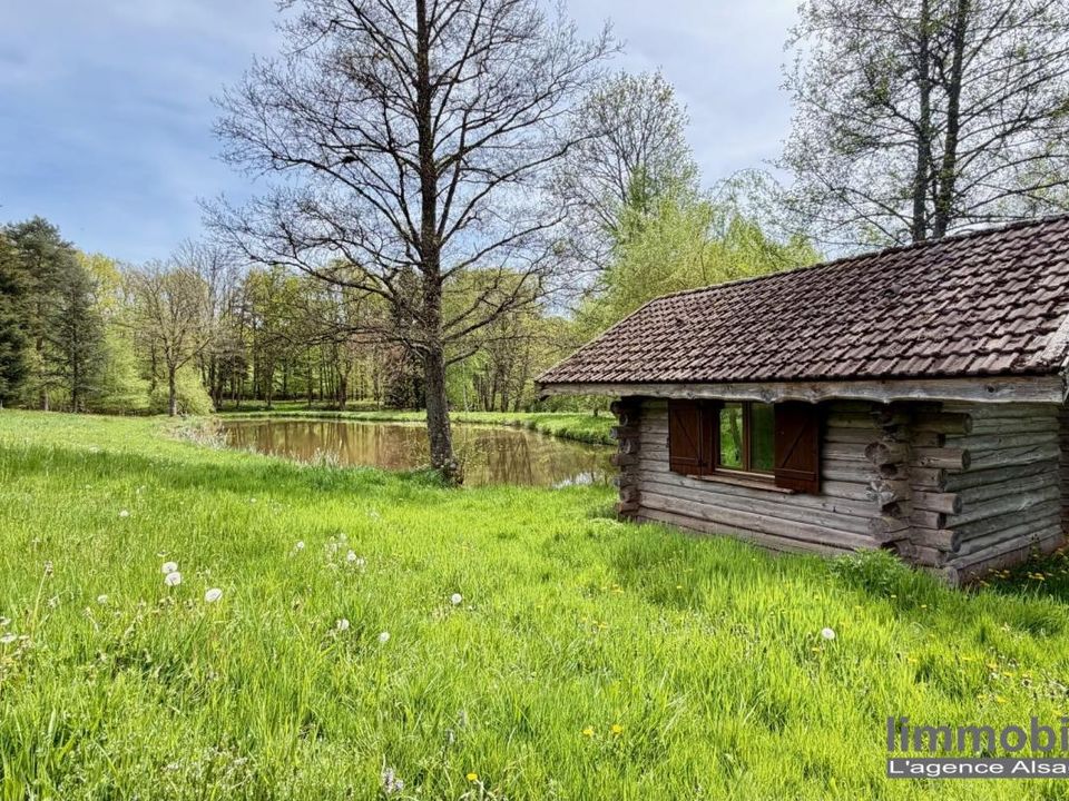 Villa a Nayemont-les-Fosses, Vosges - foto 5