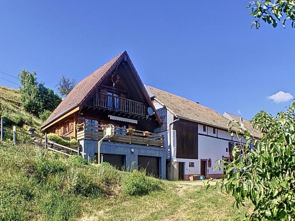 Farm i Sainte-Croix-aux-Mines, Haut-Rhin - foto 1