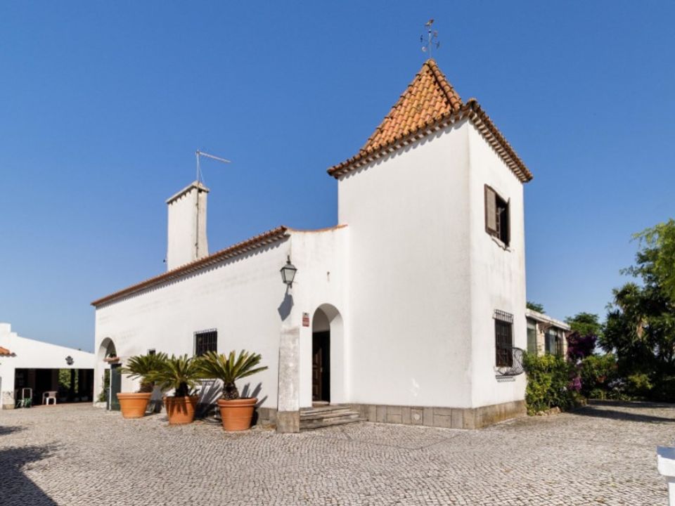 Farm i Brejos de Azeitao, Setubal - foto 2