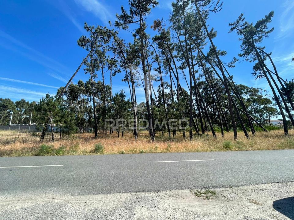 Helårsgrund i Ilhavo, Aveiro - foto 1