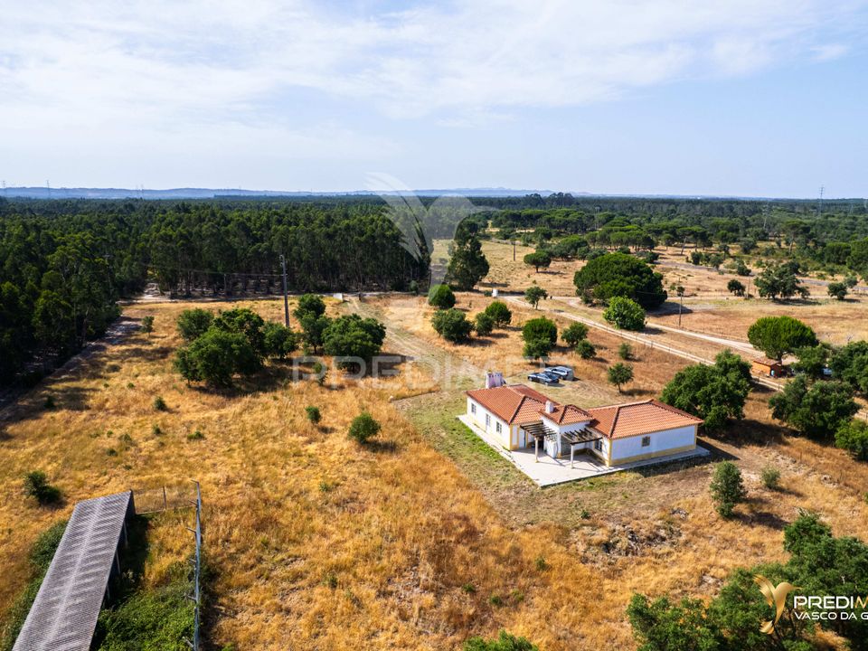 Gårdshus i Sines, Setubal - bilde 4
