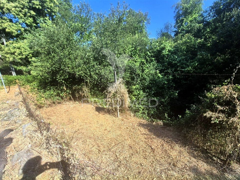 Helårsgrund i Vila Verde, Braga - foto 5