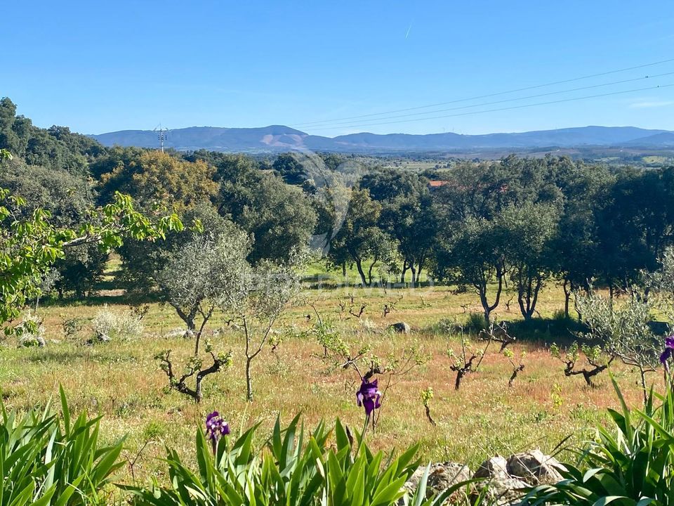 Byhus i Fundao, Castelo Branco - foto 3
