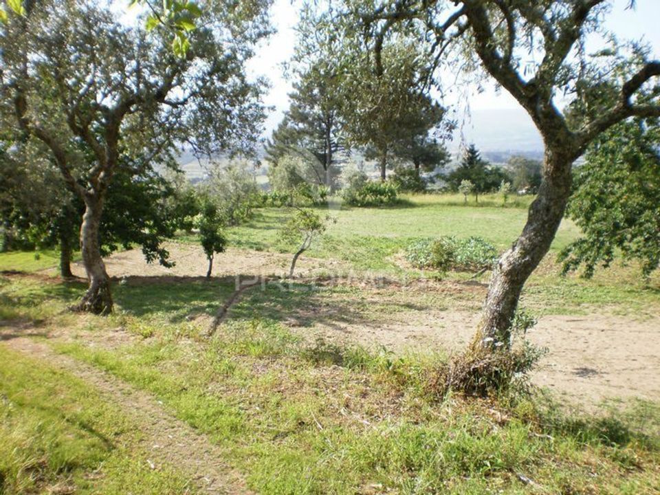 Farm hus i Gouveia, Guarda - foto 4