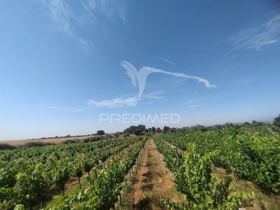 Boerderij in Nisa, Portalegre - foto 1