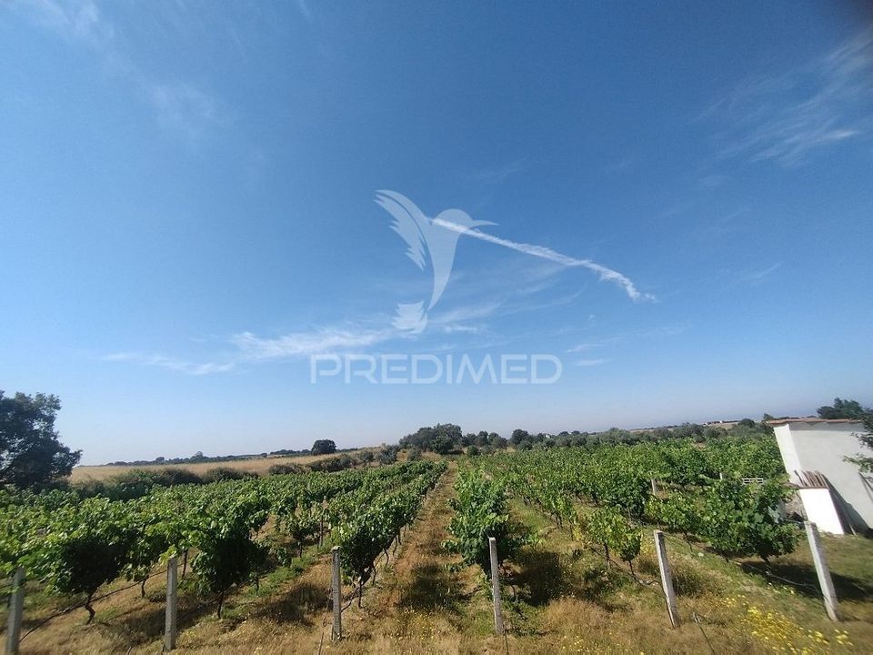 Boerderij in Nisa, Portalegre - foto 3