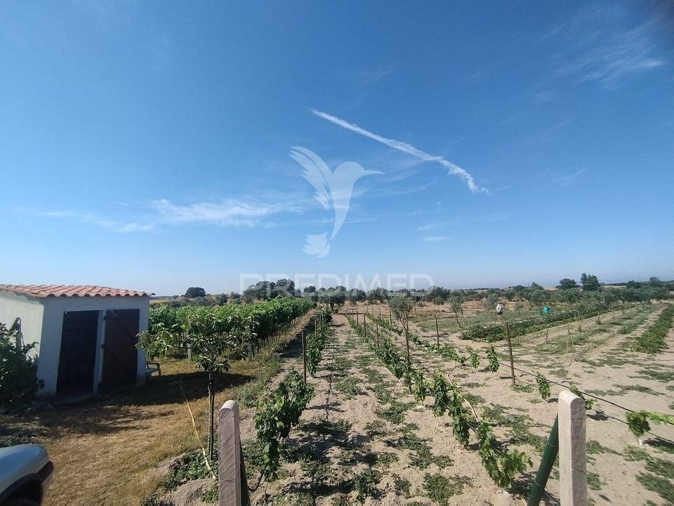 Boerderij in Nisa, Portalegre - foto 4