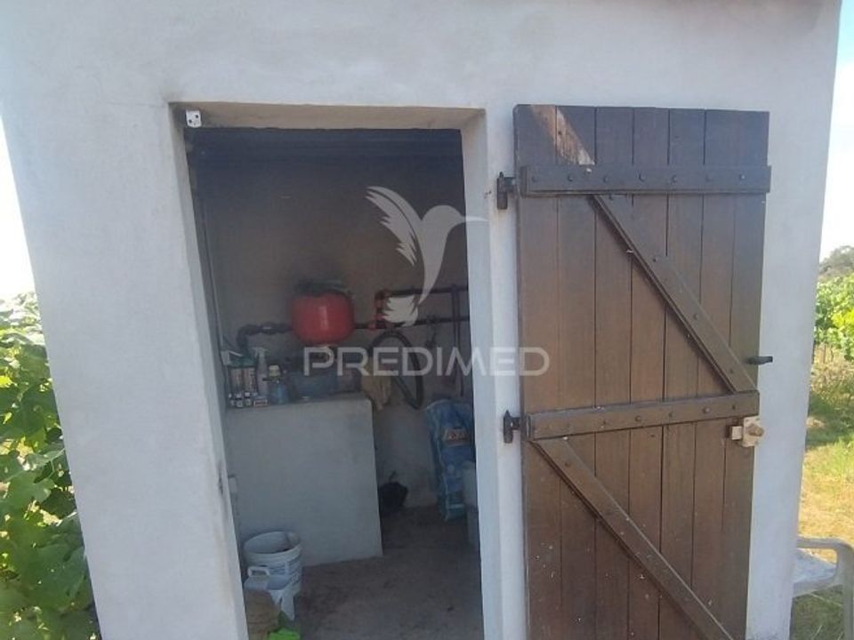 Boerderij in Nisa, Portalegre - foto 5