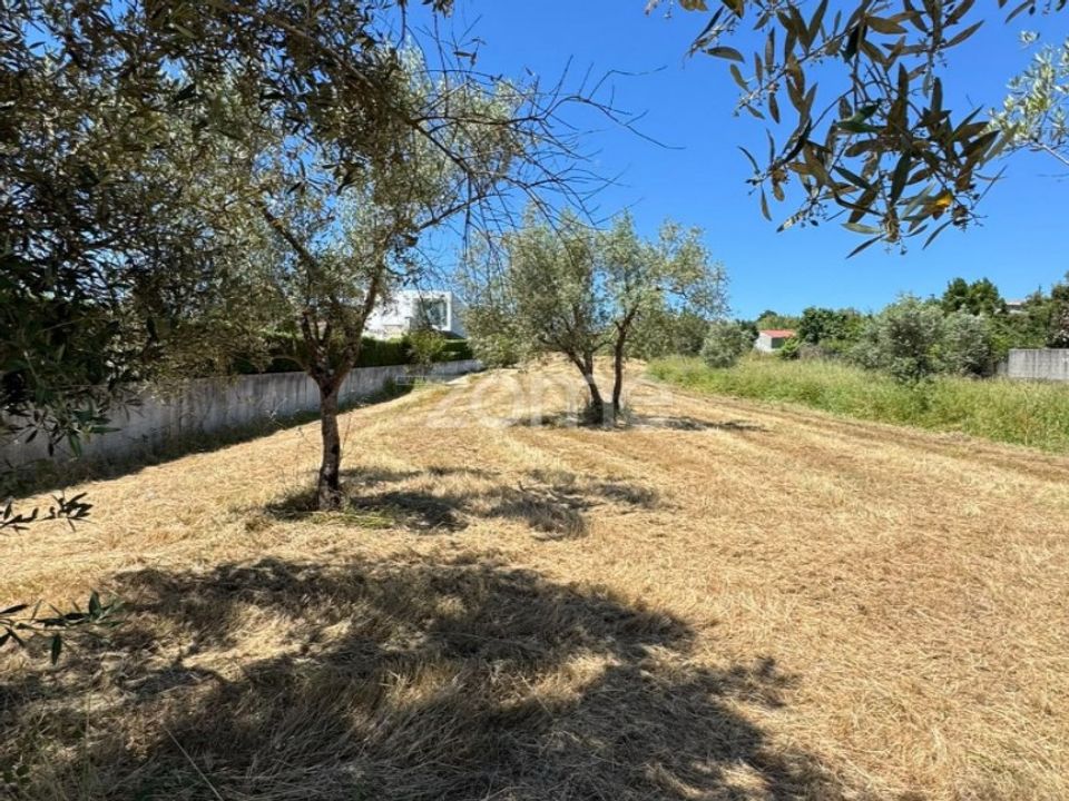 Helårsgrund i Coimbra, Coimbra - foto 4