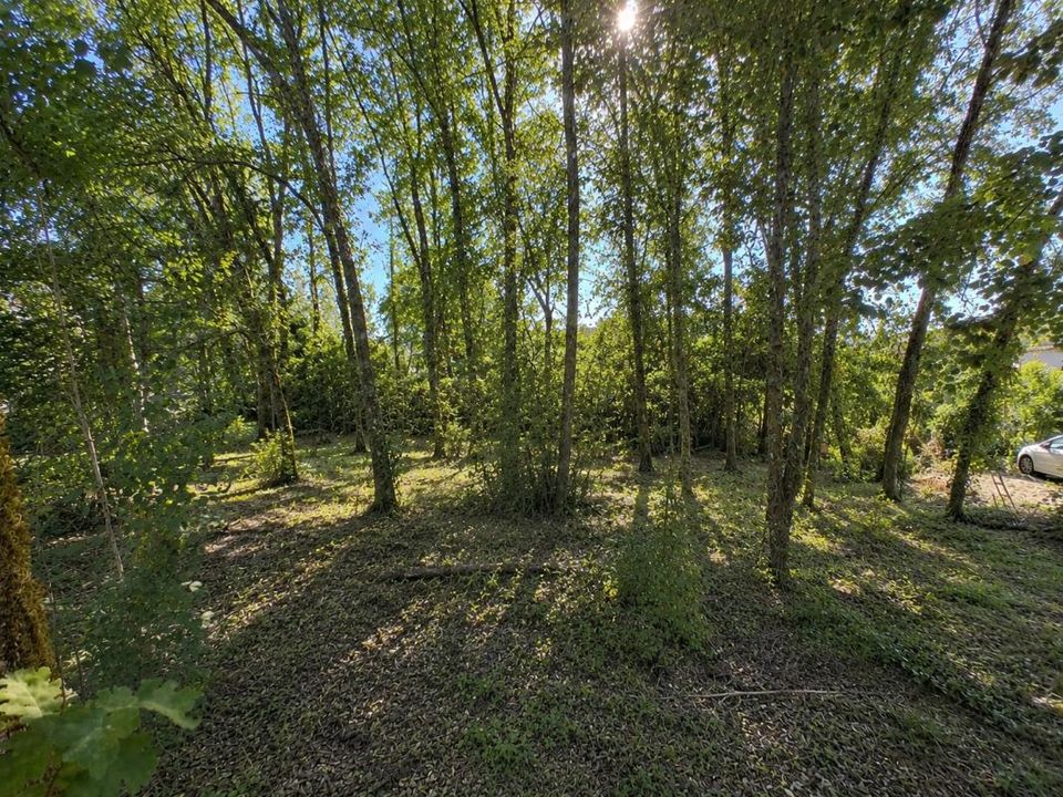 Helårsgrund i Lembras, Dordogne - foto 1