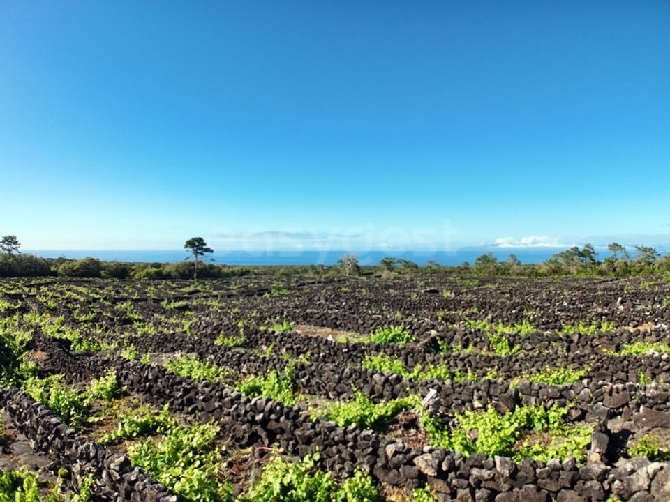 Terreno en Bandeiras, Pico - foto 3