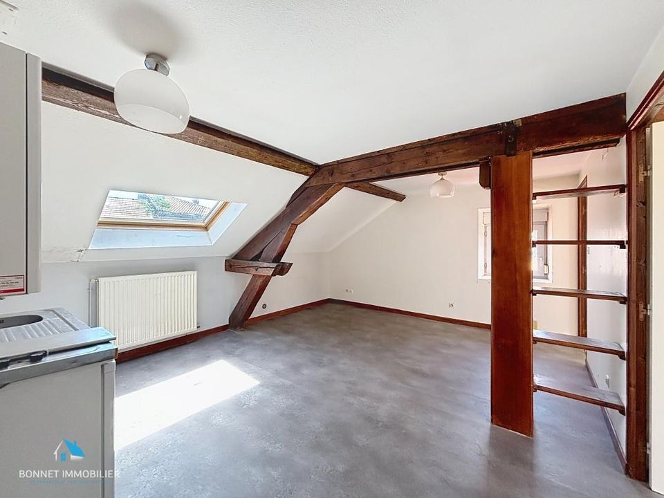 Apartament: Clermont-Ferrand, Puy-de-Dome – zdjęcie 2