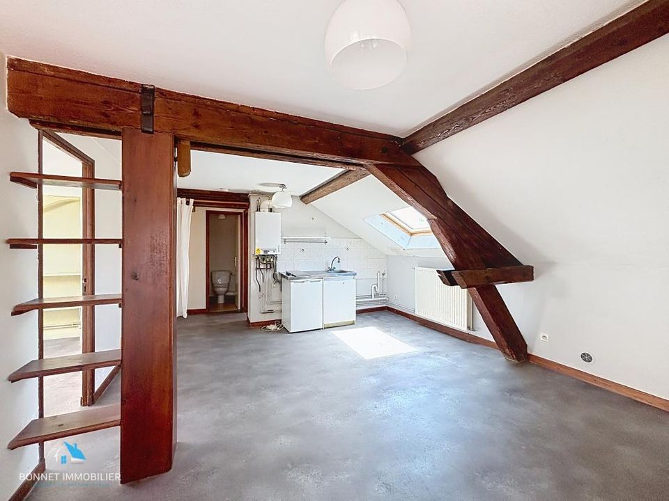 Apartament: Clermont-Ferrand, Puy-de-Dome – zdjęcie 4
