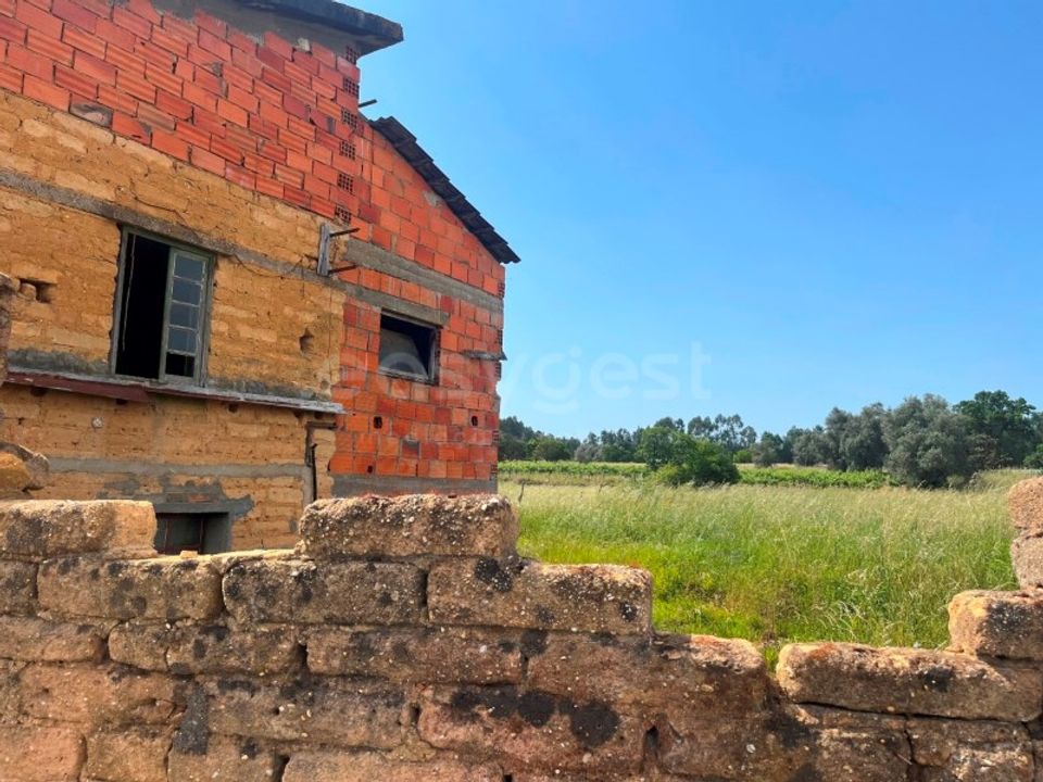 Villa i Sangalhos, Aveiro - foto 3