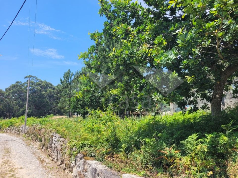 Terra a Areosa, Viana do Castelo - foto 5