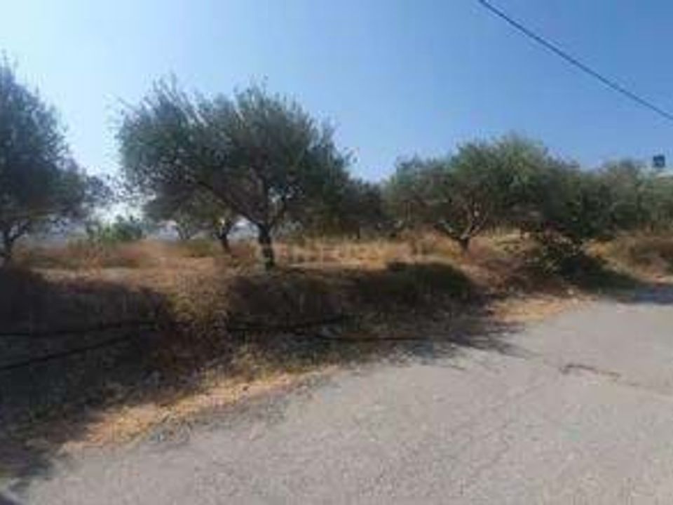 Helårsgrund i Ourem, Santarem - foto 2