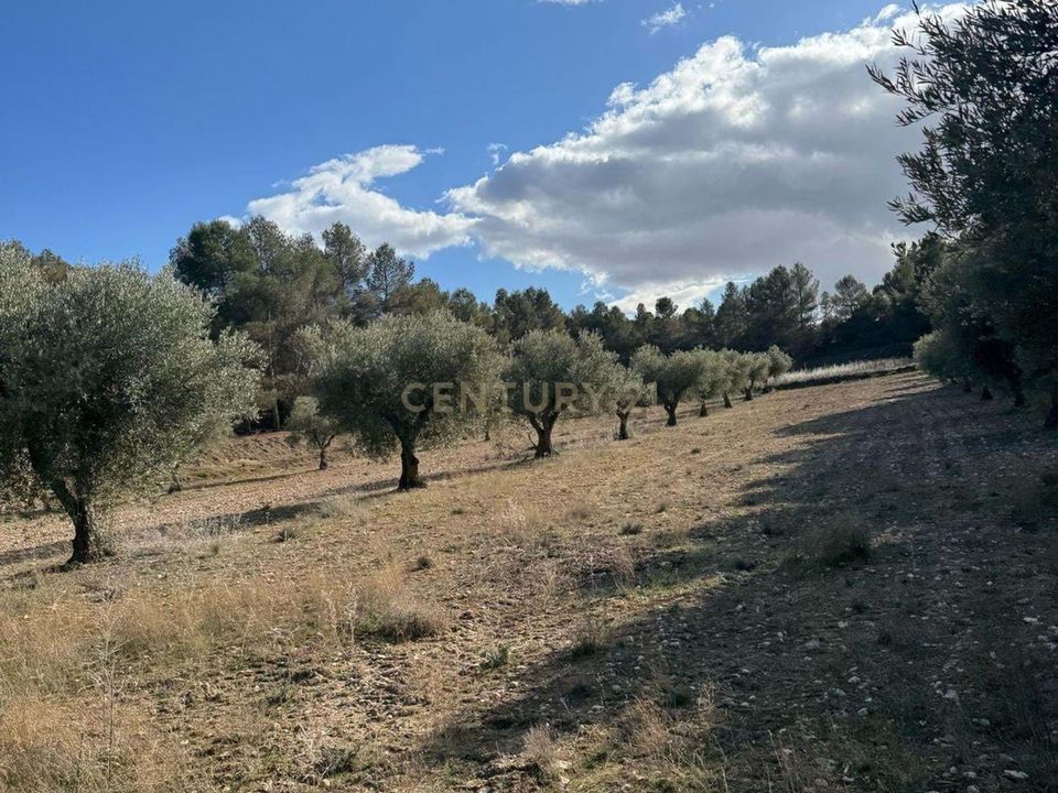 Helårsgrund i Ourem, Santarem - foto 3