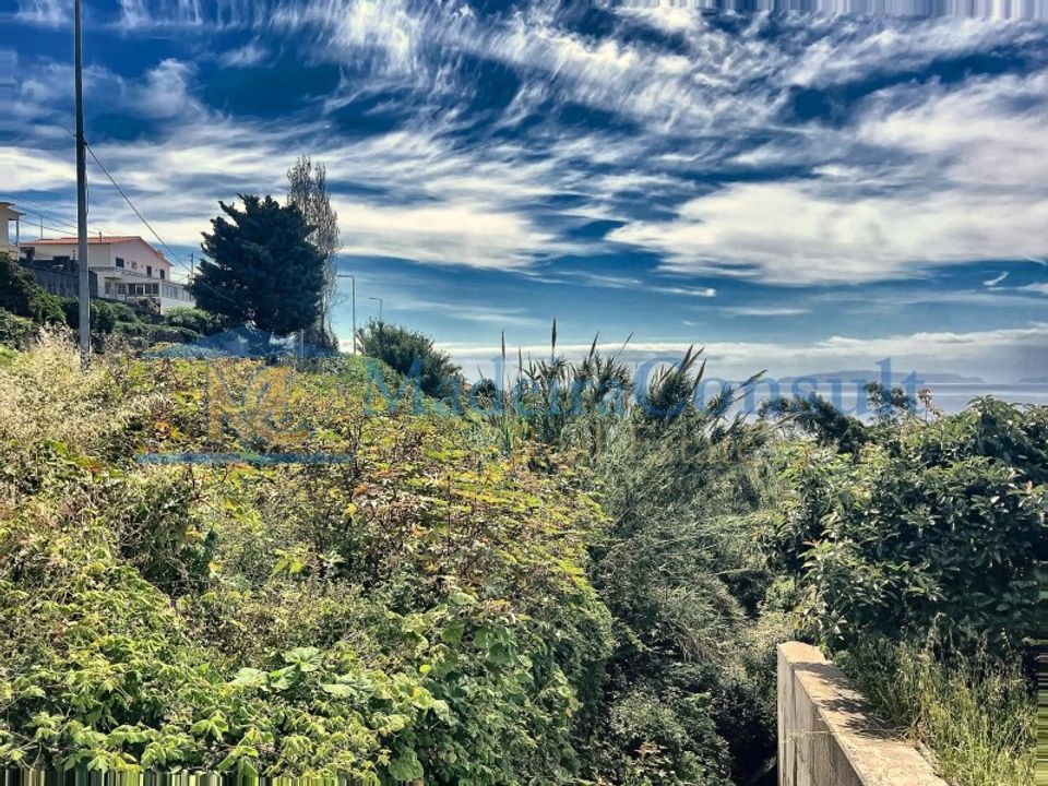 Helårsgrund i Santa Cruz, Madeira - foto 2