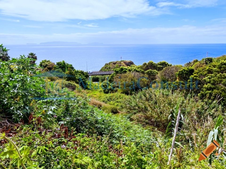 Helårsgrund i Santa Cruz, Madeira - foto 3