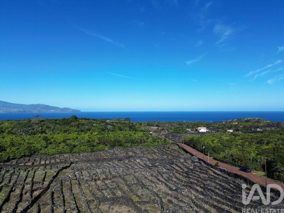 Terra a Madalena, Pico - foto 4