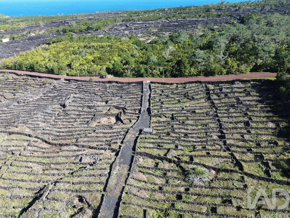 Terra a Madalena, Pico - foto 2